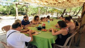 Visit to GRSE Waterfall with Stop at Ile Aux Cerf & Lunch