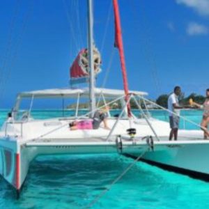 Lunch + Waterfall + Ile aux Cerfs on Catamaran